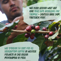 Roastbears No. 1 – Espresso