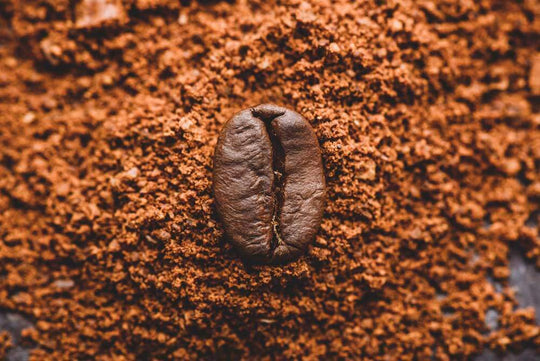 Kaffeebohnen kaufen: Die 4 wichtigsten Tipps
