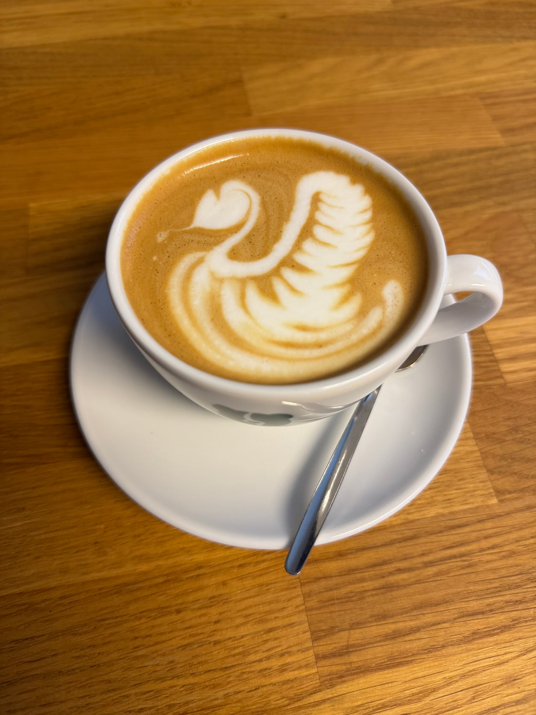 Latte Art Kurs Basic
